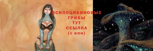 винт Аркадак