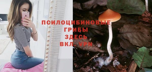 бошки Арсеньев