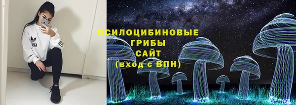 бошки Арсеньев