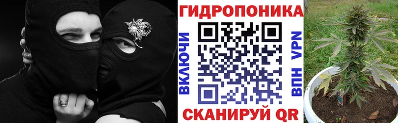 Канабис тримм  Кондопога 